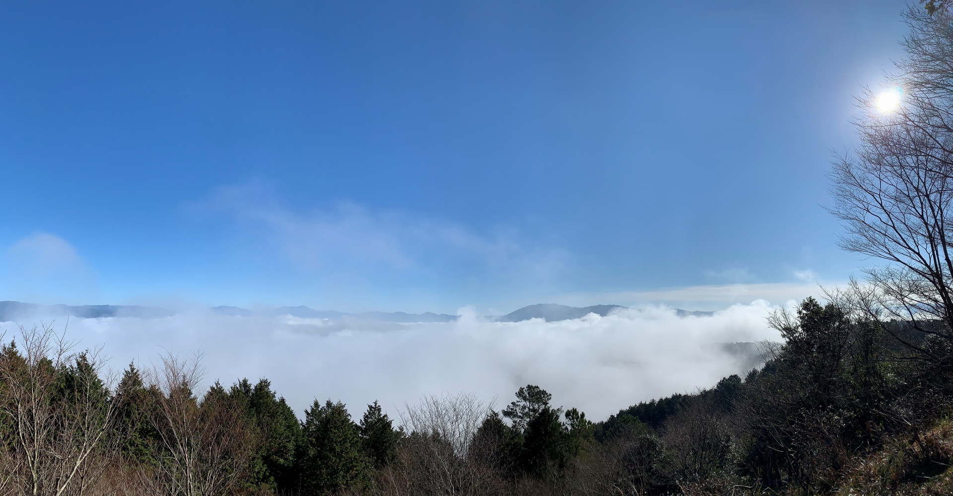 紅取山からみた雲海